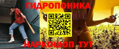 крисы Кимры