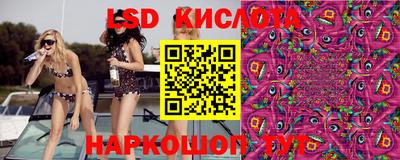 крисы Кимры