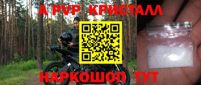 твердый Кингисепп